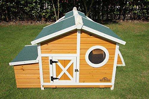 Pets Imperial® Grüner Ritz Hühnerstall mit integriertem Hühnerauslauf - Hühnerstall aus Holz - 165 cm (B) x 170 cm (T) x… – Bild 3