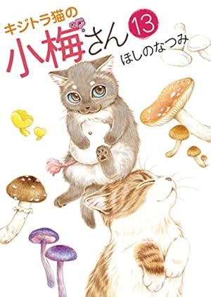 Amazon.co.jp: キジトラ猫の小梅さん（3） (ねこぱんちコミックス
