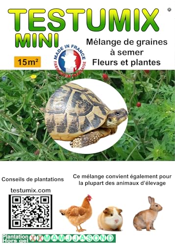 Graines de fleurs Testumix Mini pour tortues,lapins, poules et abeilles