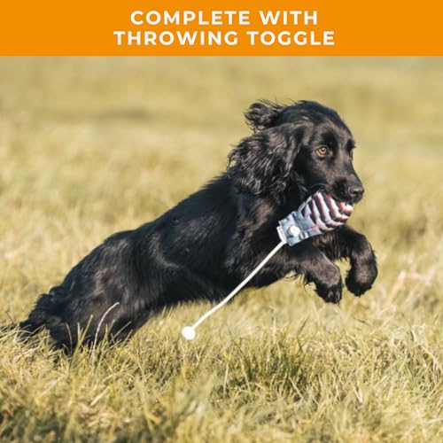 The Original Clone Realistische Spiel Vogel Hund Training Schnuller - Canvas Schnuller mit HD Federdruck für Gundog & Welpentraining - Gundog Trainingsgeräte (Hen Fasan Dead Bird Dummy)