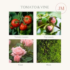 LA JOLIE MUSE Tomato & Vine Candle, Scented Candle Gifts for Women&Men, Natural Soy Candles for Home Scented, Long Burning Luxury Jar Candle, 11oz LA JOLIE MUSE Tomato Vine Candle Scented Candle Gifts for WomenMen Natural Soy Candles for Home Scented Long Burning Luxury Jar Candle 11oz