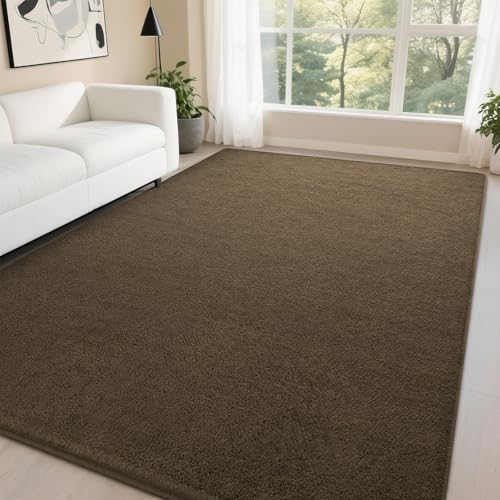 DweIke 6x9 Light Brown Area Rugs for Bedroom, Super Soft