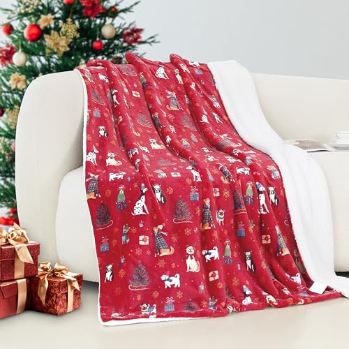 Elegant Comfort Reversible and Ultra-Plush Flannel...