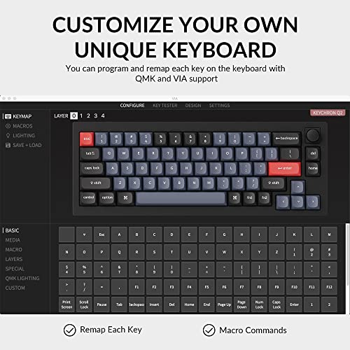 Keychron Q2 Wired Custom Mechanical Keyboard Knob Version, 65% Layout Qmk/Via Programmable Macro With Hot-Swappable Gateron G Pro Red Switch Double Gasket Compatible With Mac Windows Linux (Black) #TOP3