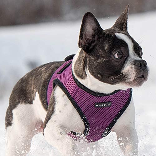 Puppia Soft Vest Harness, L, Purple - Image 5