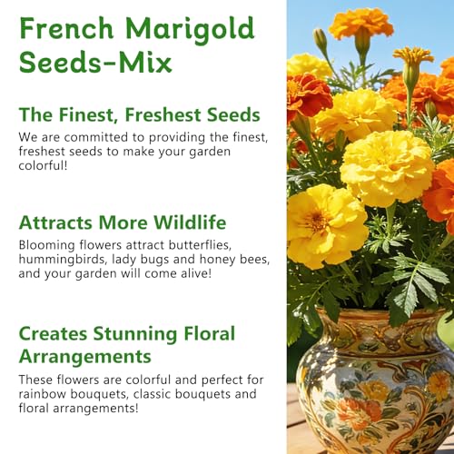 LUOJIBIE French Marigold Seeds for Planting Outdoors, Giant Marigold Flowers Seeds Bulk for 2026, Over 8,500+ Seeds Prolific Blooms, Ideal for Vibrant Pollinator Gardens — view 4