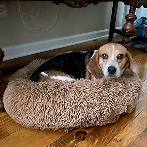 Comfortable Round Plush Dog Beds, Calming Dog Bed For Small Medium And Large Dogs - Xl #TOP5