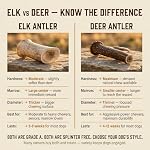 Heartland Elk Antlers for Dogs - Daily Dental Care Chews for Aggressive Chewers to Reduce Plaque & Prevent Destructive Behavior (Whole, Splinter Free, 5-6", Medium, 1-Pack, Grade A, USA Made) - Image 6