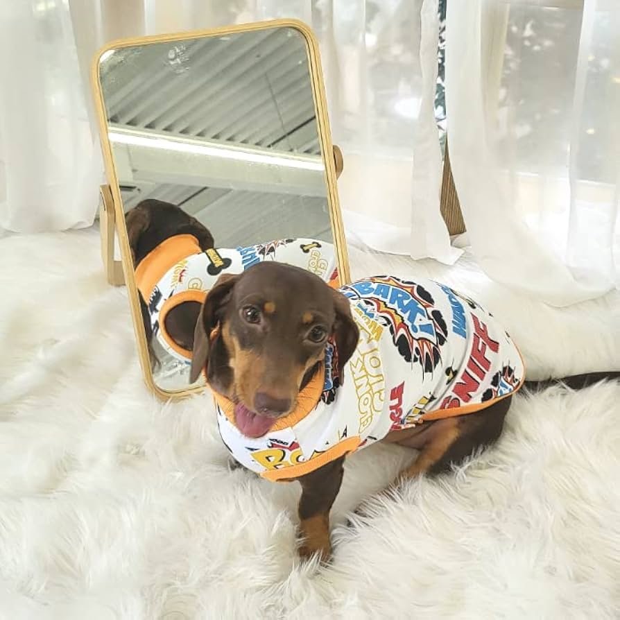 Amazon | doggystar(ドッギースター) セール ダックスフンド 服