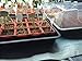 EarlyGrow 70738 Medium Domed Propagator, 15