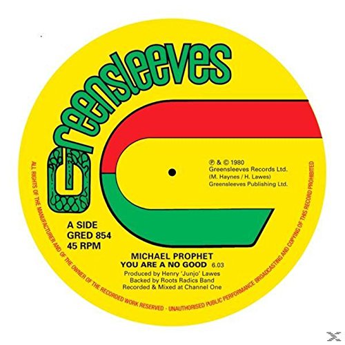 You Are A No Good [Vinilo]