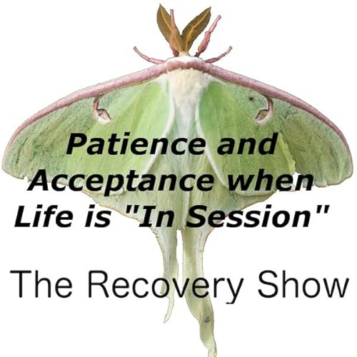 Patience and Acceptance when Life is &ldquo;In Session&rdquo; &ndash; 447 Podcast Por  arte de portada