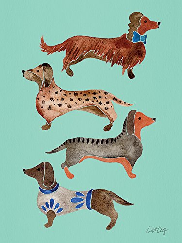Toile Dachshunds 60 x 80 cm pour salon moderne et déco chaleureuse