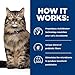 Hill's Prescription Diet Gastrointestinal Biome Stress Dry Cat Food, Chicken Flavor, Veterinary Diet, 4 lb. Bag
