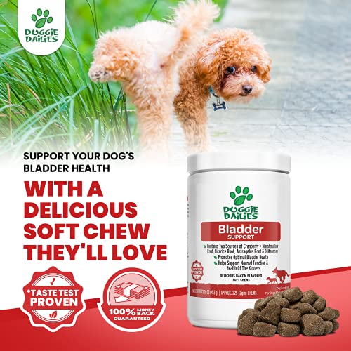 Doggie Dailies Cranberry Supplement For Dogs, 225 Soft Chews, Urinary Tract, Bladder & Kidney Support For Dogs, Cranberry For Dogs With Marshmallow Root, Licorice Root & Apple Cider Vinegar (Chicken) #TOP4