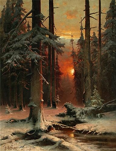 Impression sur toile haute définition Neige dans la forêt de Klever grand format 60x90cm
