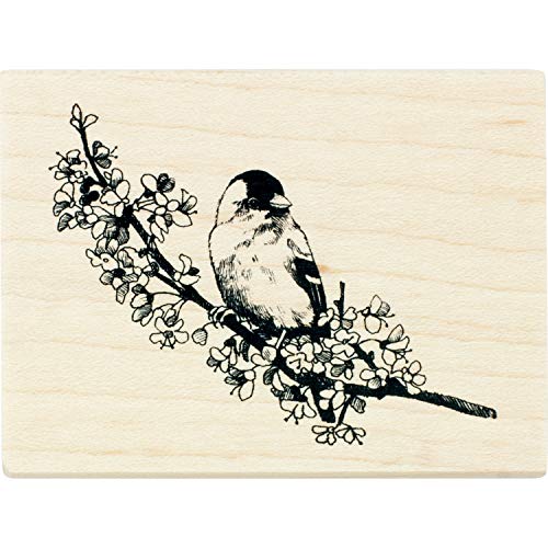 Inkadinkado Finch On A Branch Mounted Rubber Stamp For Card Making And Scrapbooking, 3'' X 2.25'' X 1'' #TOP21