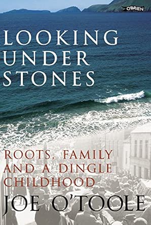 Looking Under Stones: Roots, Family and a Dingle Childhood book cover