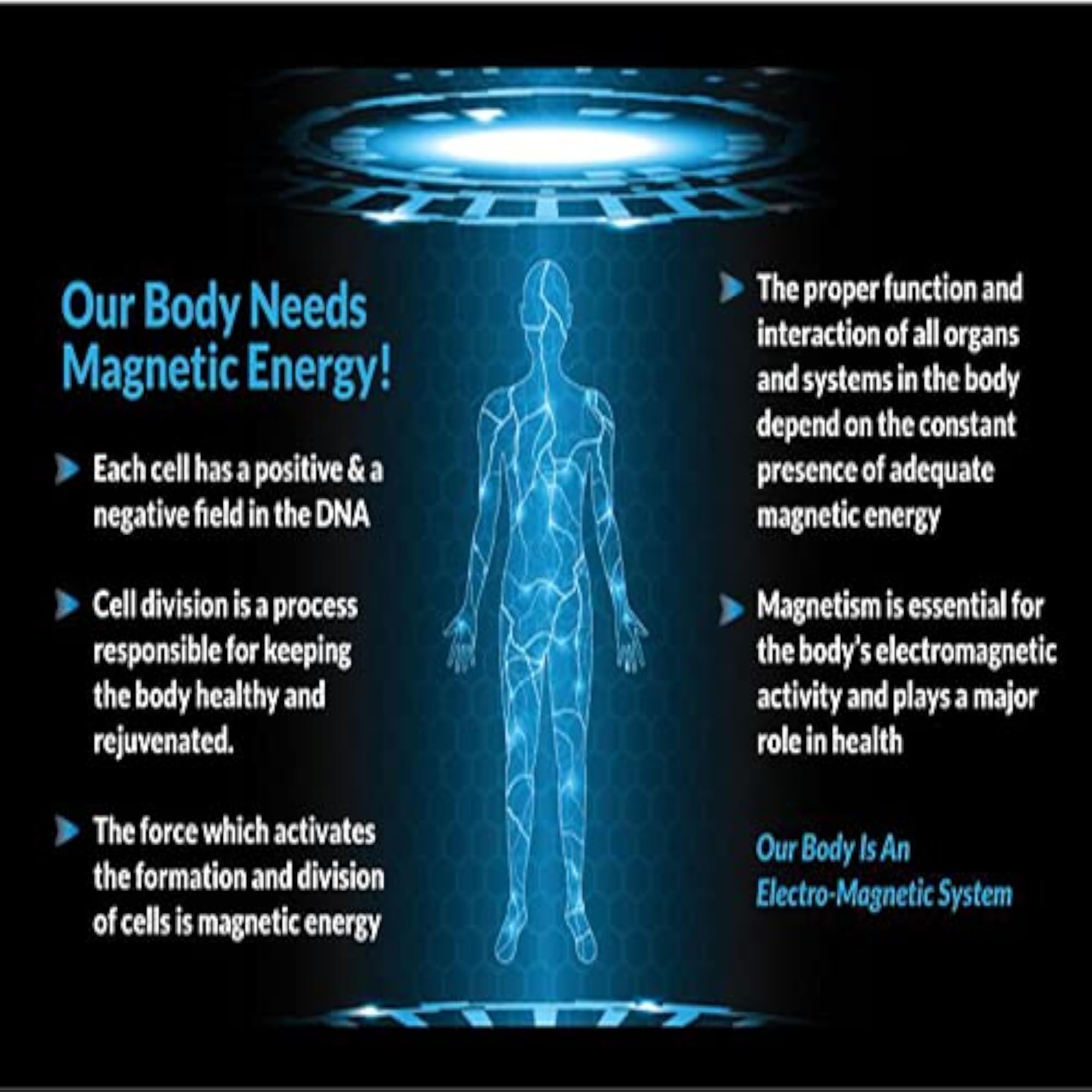 ANCS Power Magnet Bio Magnetic Energy Therapy Set