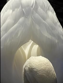 Epilogue: Book Two: November 1, 2015-March 15, 2016