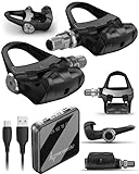 Garmin Rally RK100