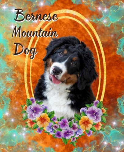 Why do bernese mountain dogs not live long