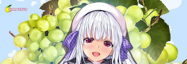 タペストリー 5本　セット まとめ　しんたろー GRAPEFRUIT Amazon.co.jp: タペストリー 5本 セット しんたろー GRAPEFRUIT