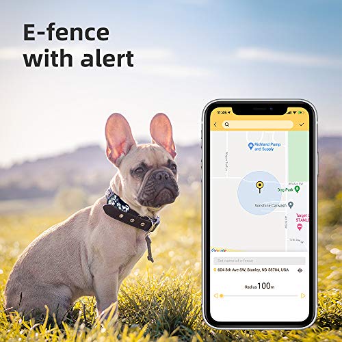 PETBIZ G20 GPS Pet Tracker, 30 Days Battery Life, IPX7 Waterproof GPS Tracker for Cat and Dogs (Ice camo)