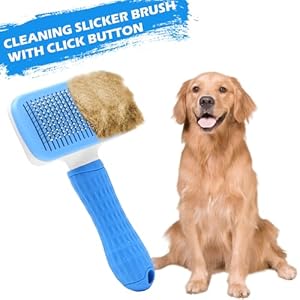 7PCS-Dog-Grooming-Kit-Deshedding-Dog-Brush-Dog-Pin-Brush-Flea-comb-for-dogs-metal-comb-Bath-Brush-Dog-Nail-Clipper-and-Nail-File-Dog-Brush-Set-for-Small-Medium-and-Large-Dogs-Blue - Cucciolini Doodles   7PCS-Dog-Grooming-Kit-Deshedding-Dog-Brush-Dog-Pin-Brush-Flea-comb-for-dogs-metal-comb-Bath-Brush-Dog-Nail-Clipper-and-Nail-File-Dog-Brush-Set-for-Small-Medium-and-Large-Dogs-Blue