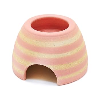 爬虫類用ウェットシェルター Amazon.co.jp: GEX EXOTERRA モイストロック200 PT3173 爬虫類用