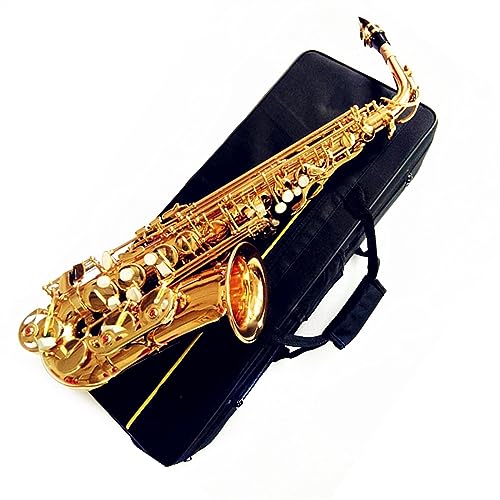 vtFbVi TbNX AgTbNX Eb S[f E-tbgTbNX Ǌy }EXs[XƃP[Xt