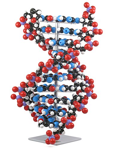 40s 50s vintage 分子モデルキット アトミック 40s 50s vintage 分子モデルキット アトミック