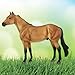 Breyer Horses Traditional Series | The Ideal Series | Buckskin by Orren Mixer | Horse Figurine | 11.5