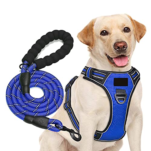 MAILESPET Imbracature con Pettorina per Cani Imbracature di Base con Cavezza Arnés para Perros con Correa Azul Cian Cover