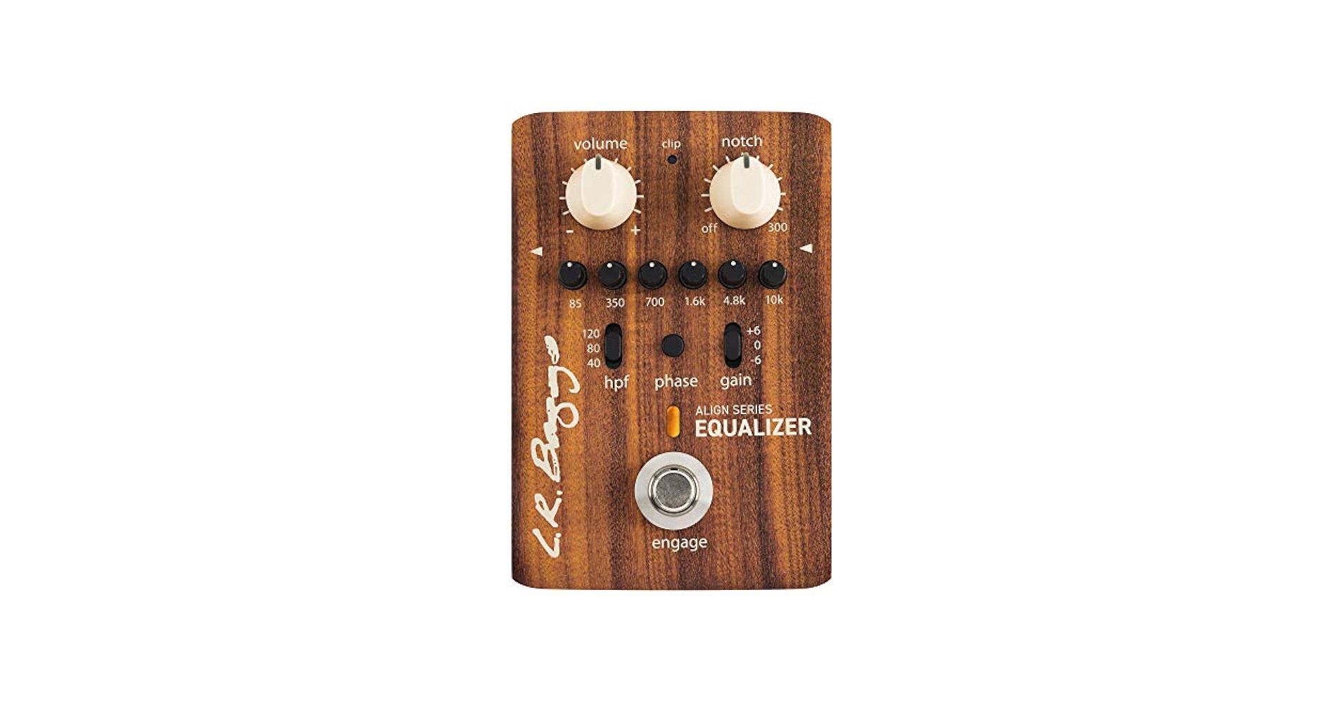 Amazon.com: L.R. Baggs Align Equalizer Acoustic Guitar