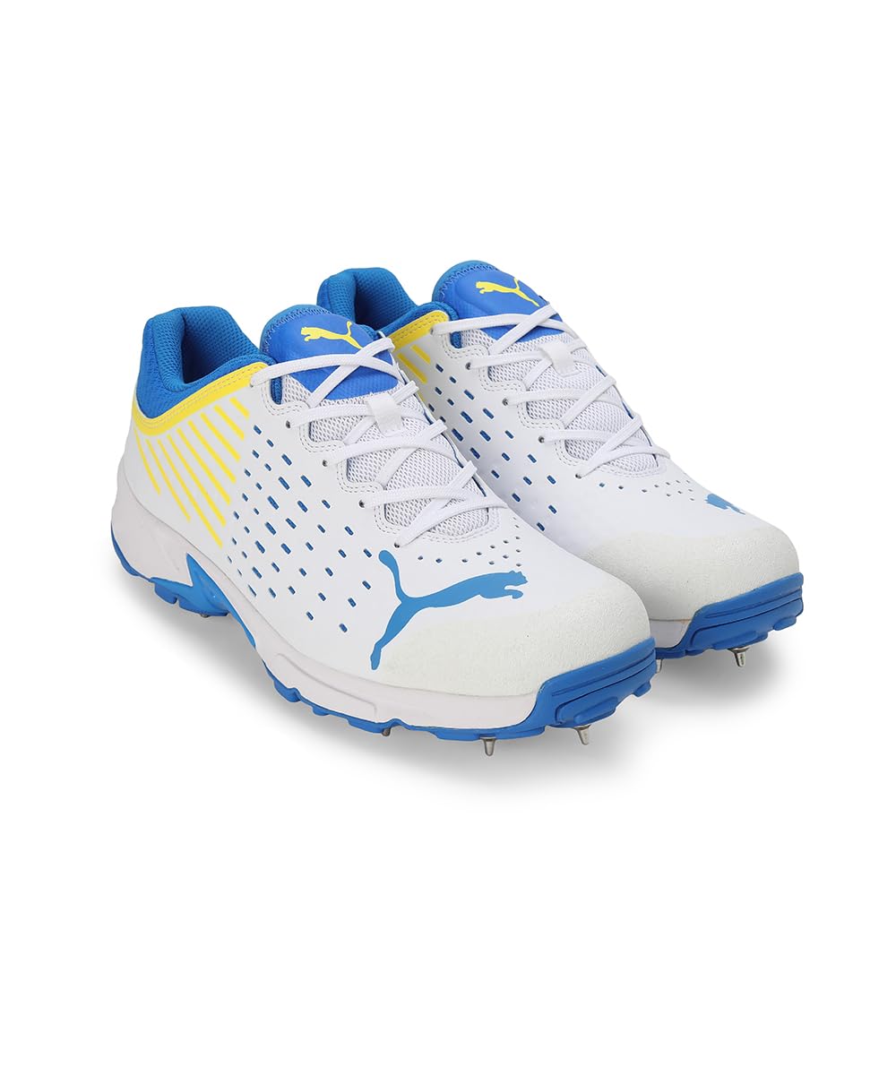 PUMA Men's Spike 22.2Cricket Shoe