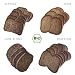 Panifactum Brot Probierpaket, Set mit 4 Low Carb BIO-Broten, Ketogene Ernährung, Getreide-, Soja-, Hefe-, & Glutenfrei, Sättigend & Kohlenhydratreduziert, für Frühstück & Abendessen, 760 g