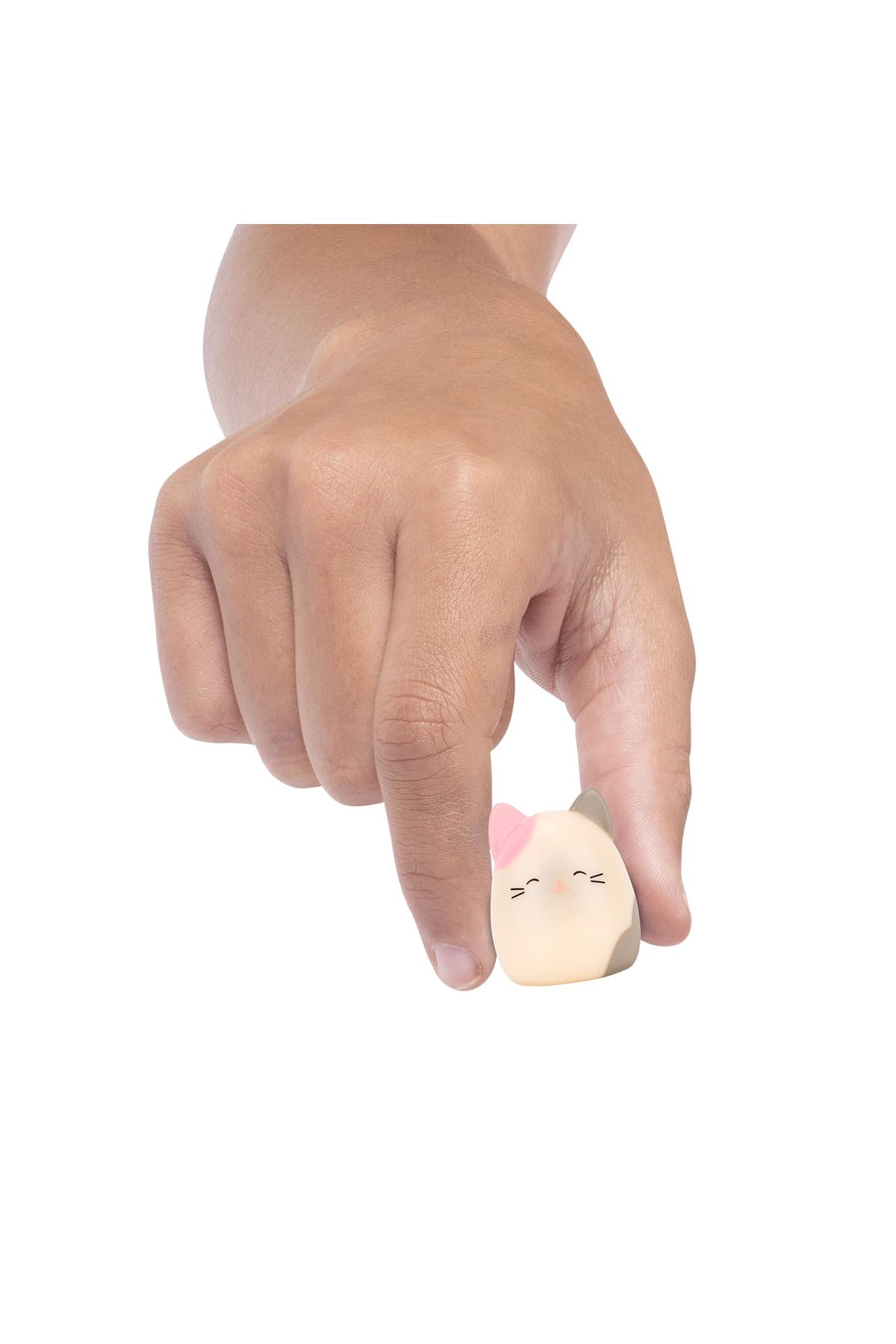 Squishmallows Squish-a-longs 3 Figür + Yüzük Çantalı Sürpriz Paket Seri 3 AL007