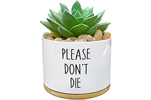 Cute and Durable: White 'Please Don't Die' Mini Ceramic Succulent Cactus Planter...