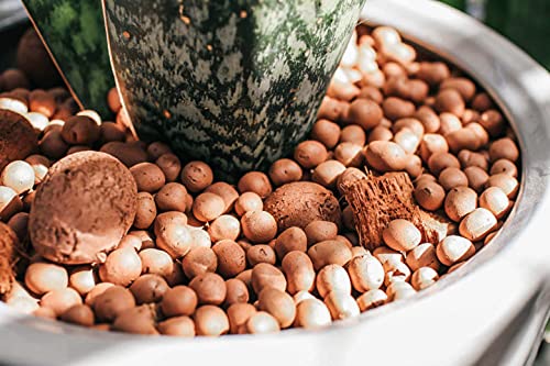 Argila Expandida para Vasos e Decoração 1,5kg - 3,75L