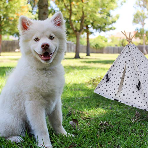 VILLCASE Pet Teepee Tents, Portable Dog Teepee Bed with Thick Cushion, Stars Pattern Teepee Tent House for Small Dogs or Cats - Image 2