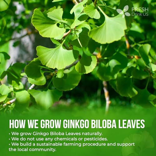 Image of FRESHDRINKUS, Premium 8oz Ginkgo Biloba Leaves Powder, 100% Natural & Pure, Herbal Tea, No Sugar, No Caffeine, No Gluten, Vegan.