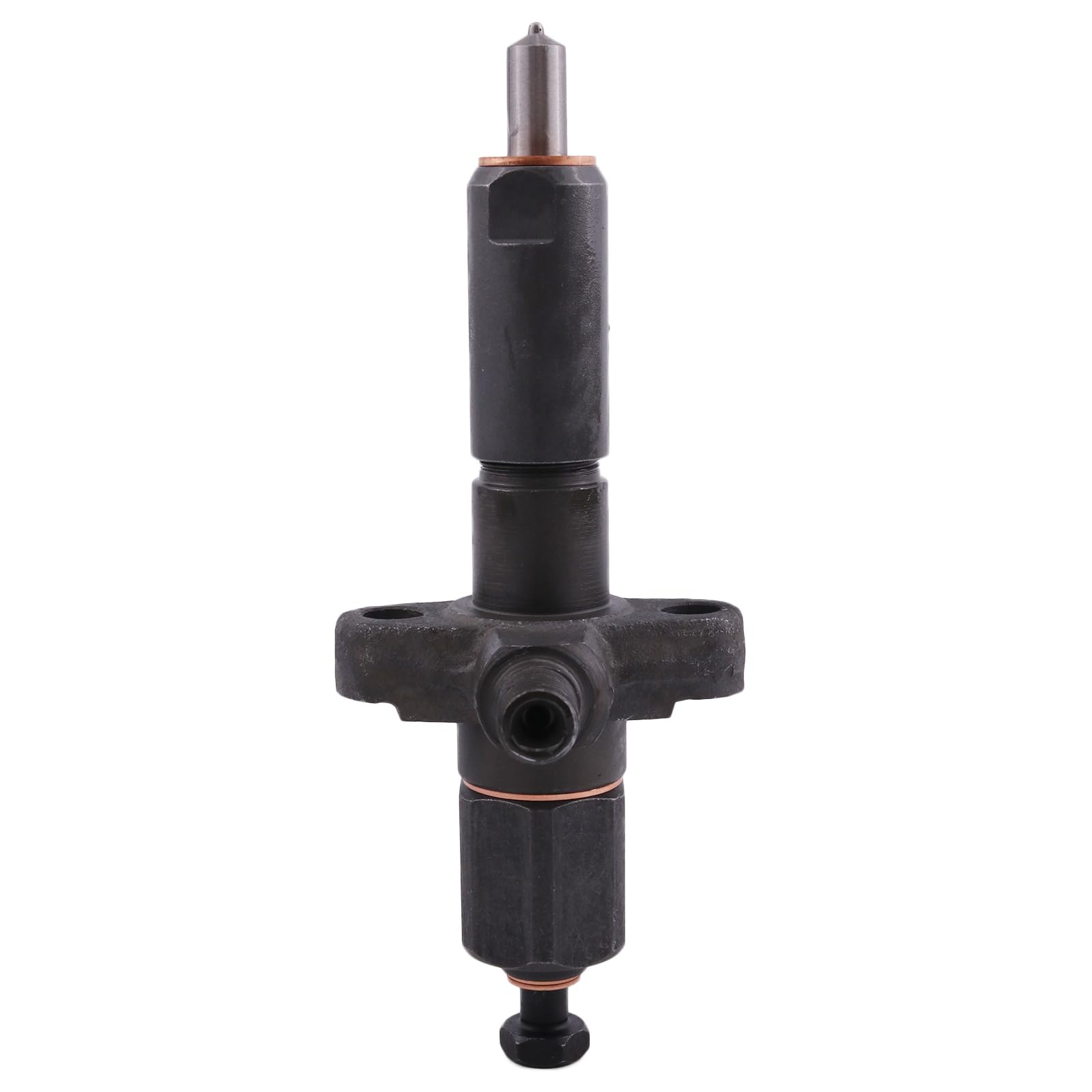 Amazon.com: BNUSLO Fuel Injector 1447401R91 1447401E91