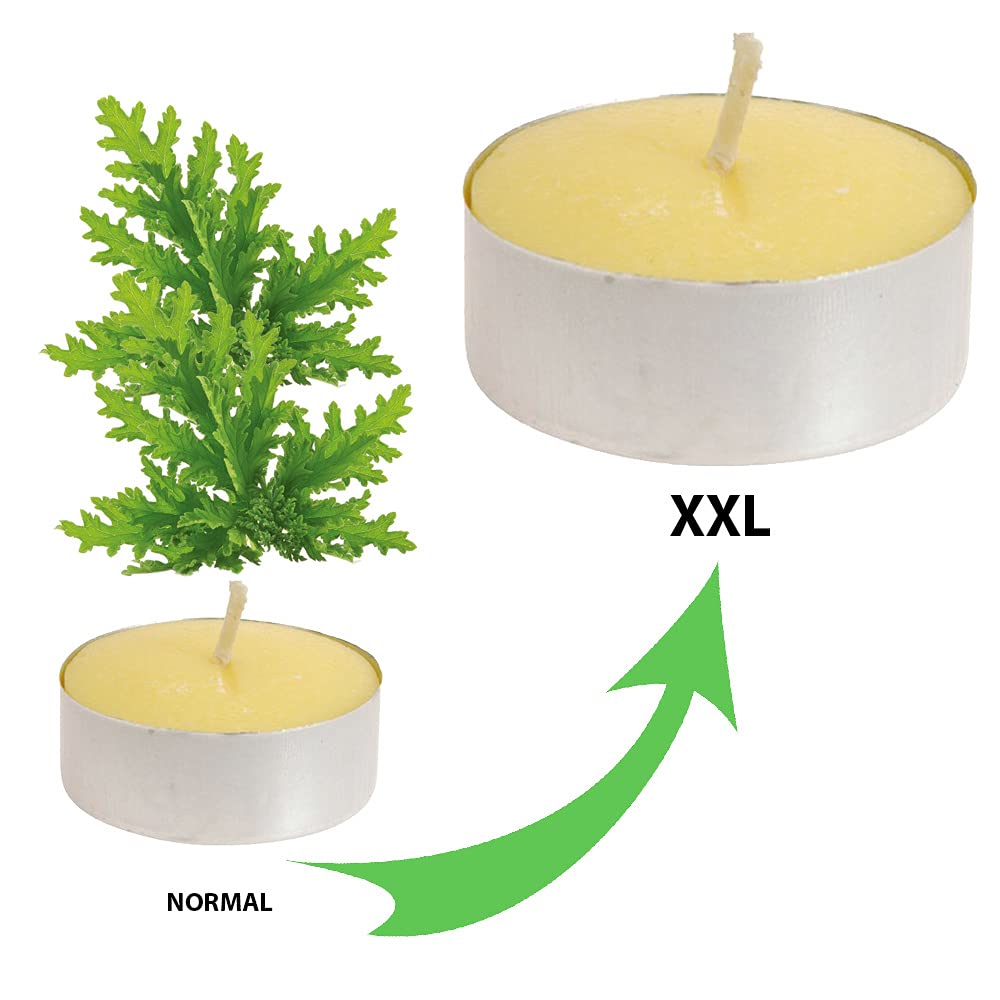 Rock and Baby - 8 Velas de Citronela Antimosquitos Grandes XXL Para Exterior e Interior Ø 5.5 cm - Candelitas Citronella Perfectas Para Jardín, Velas XXL Antimosquitos Perfumadas de Citronela
