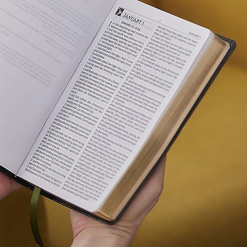 Kjv, the Everyday Bible, Hardcover, Red Letter, Comfort Print: 365 Daily Readings Through the Whole