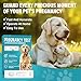Dog Pregnancy Test, Pet Pregnancy Supplies at Home, 10-15 Mins Accurate and Fast Detection, 99.9% Accurate & Simple Operation
