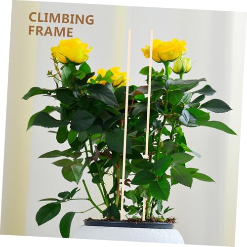 HYTROVE 20個 植物支柱 クライミングステーク 屋外屋内対応 植物サポート杭 耐久性あり ガーデニング用 風対策 伸縮不要