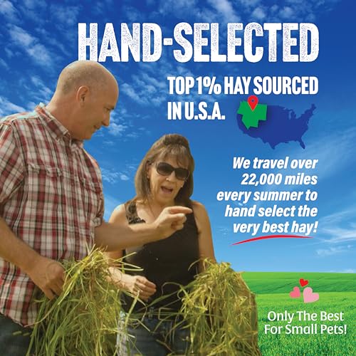 Small Pet Select Orchard Grass Hay Pet Food for Rabbits, Guinea Pigs, Chinchillas and Other Small Animals, Premium Natural Hay Grown in The US, 10 LB - Image 3