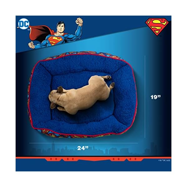 DC Comics for Pets Superman Logo Cuddler Dog Bed | Soft and Comfortable Superhero Cozy Cuddler Dog Bed for Pets | Blue and Red Elevated Dog Bed 24 x 19 x 8 DC Comics for Pets Superman Logo Cuddler Dog Bed | Soft and Comfortable Superhero Cozy Cuddler Dog Bed for Pets | Blue and Red Elevated Dog Bed 24 x 19 x 8
