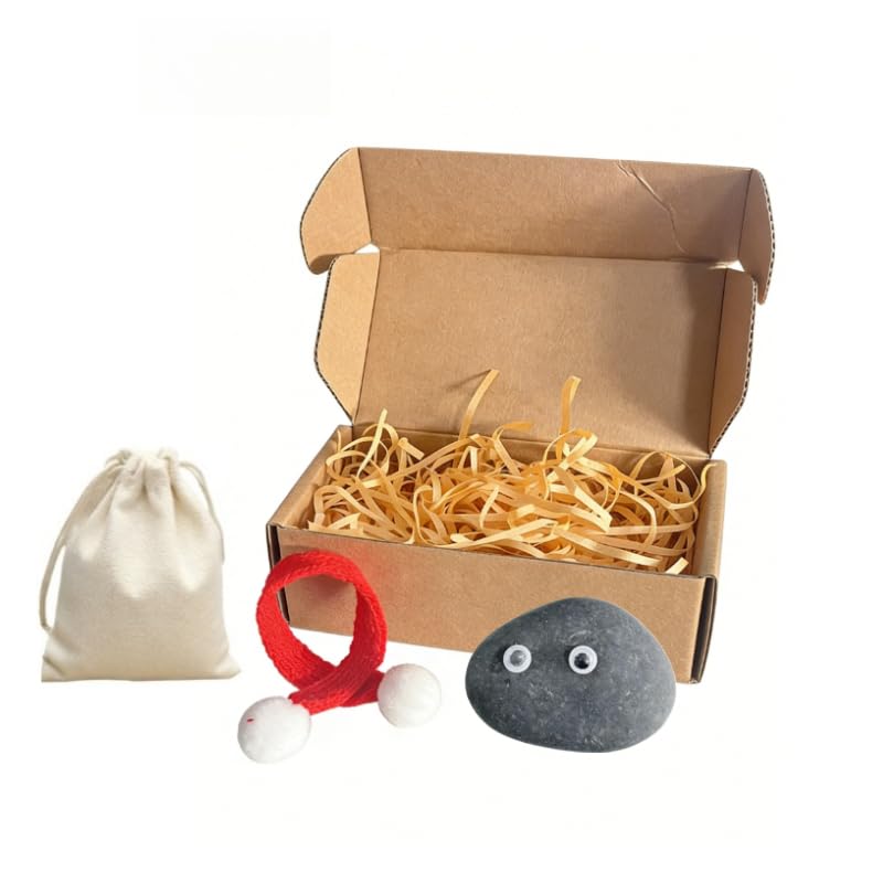 The Original Stone Pet DIY Kit - Adorable Low-Maintenance Desk Buddy | Custom Accessories (Scarf Googly Eyes Raffia) & Travel Bag | Perfect White Elephant & Birthday Gift